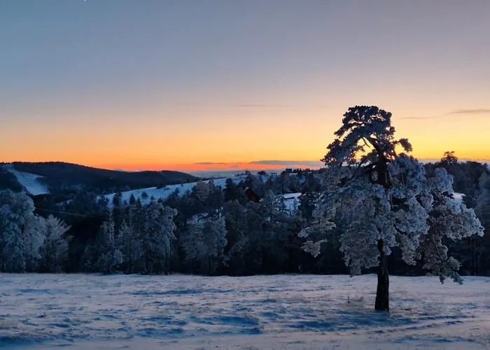 Monika Wind Apartman *